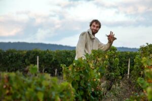 Vendanges manuelles domaine Servin Chablis