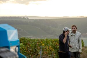 Vendanges domaine Servin Chablis
