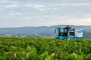 Vendanges mécanisées domaine Servin Chablis