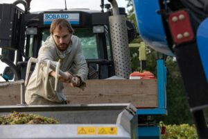 Vendanges domaine Servin Chablis