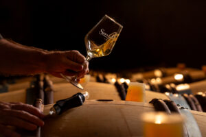 Verre de Chablis, au dessus des fûts de chêne du Domaine